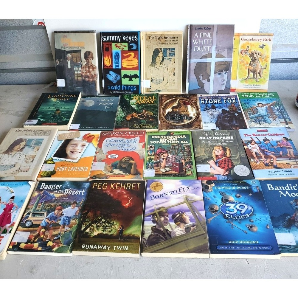 Lot 23 Books PB HB Teacher Classroom Reading Support Readers Homeschool Level 4‎